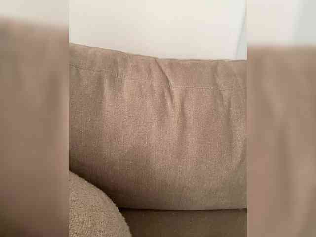 FurElisse webcam