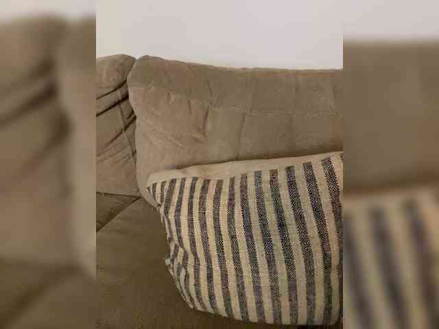 FurElisse webcam
