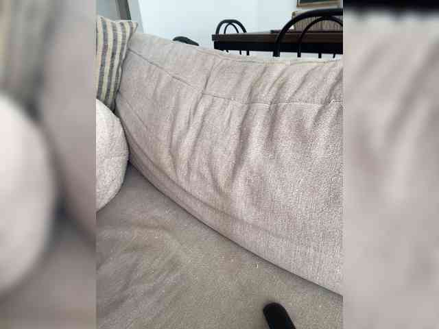 FurElisse webcam