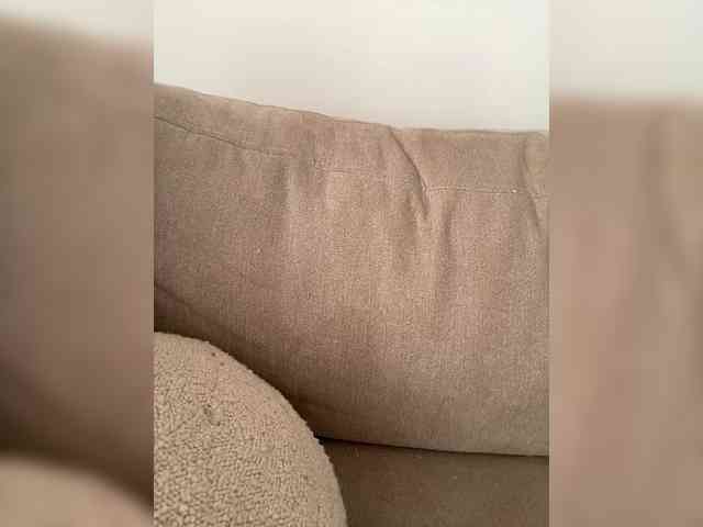 FurElisse webcam