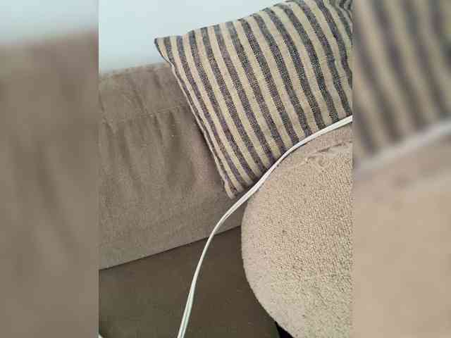 FurElisse webcam