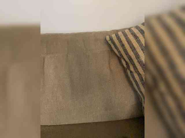 FurElisse webcam