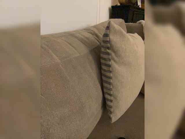 FurElisse webcam