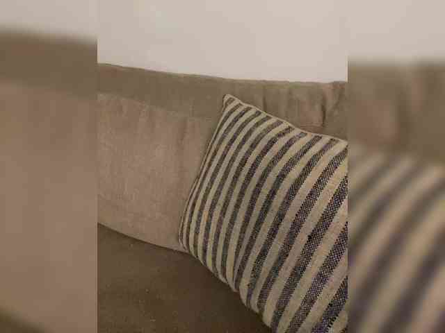 FurElisse webcam