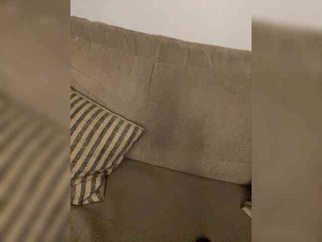 FurElisse webcam