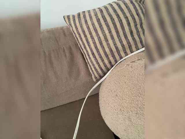 FurElisse webcam