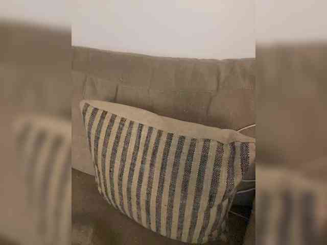 FurElisse webcam