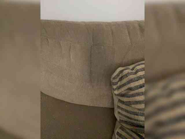 FurElisse webcam