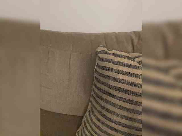FurElisse webcam