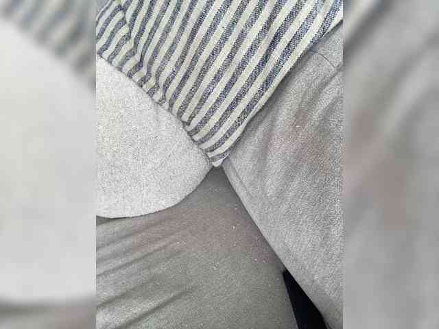FurElisse