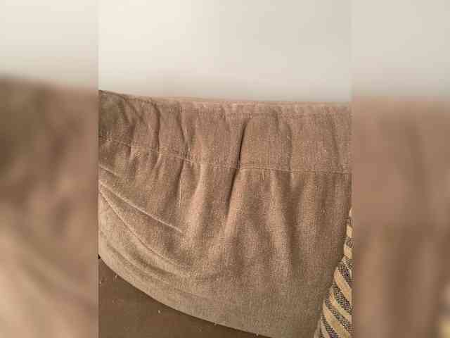 FurElisse webcam