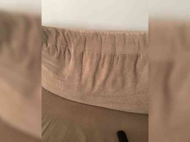 FurElisse webcam