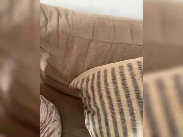FurElisse webcam