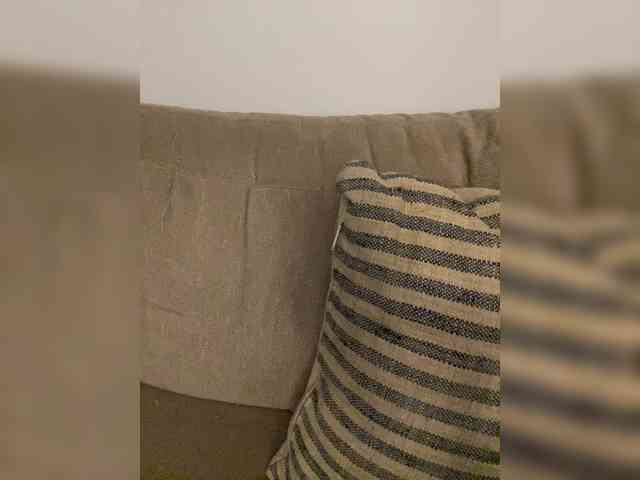 FurElisse webcam