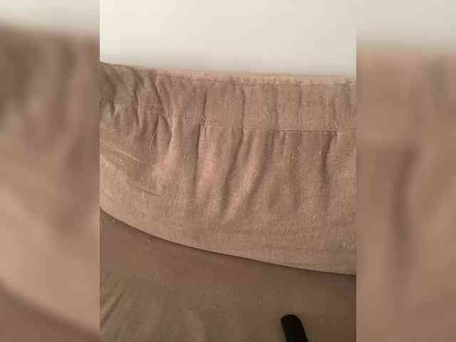 FurElisse webcam