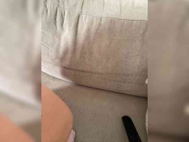 FurElisse webcam