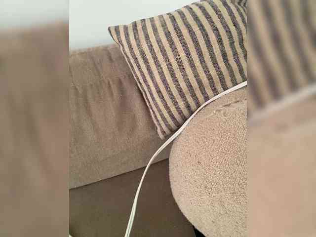 FurElisse webcam
