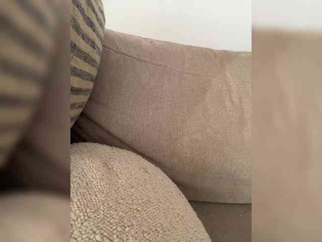 FurElisse webcam