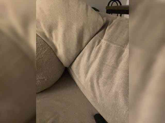 FurElisse webcam