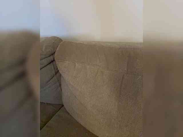 FurElisse webcam