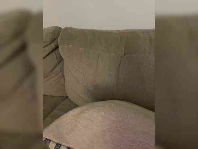FurElisse webcam