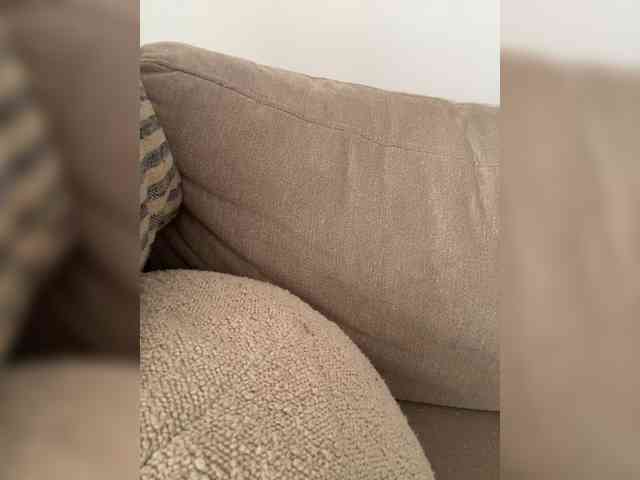 FurElisse webcam