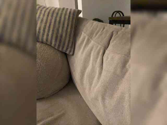 FurElisse webcam
