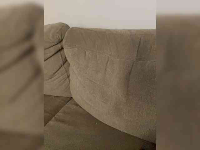 FurElisse webcam