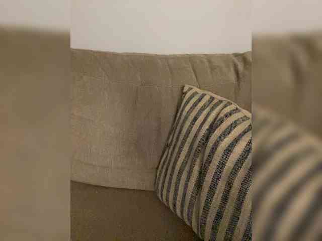 FurElisse webcam