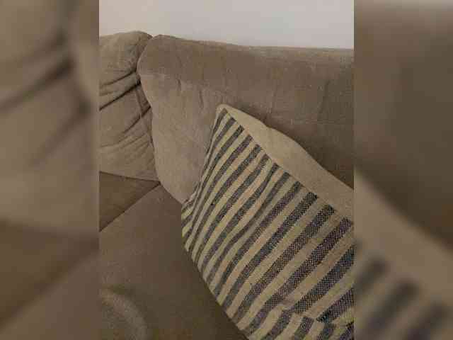 FurElisse webcam