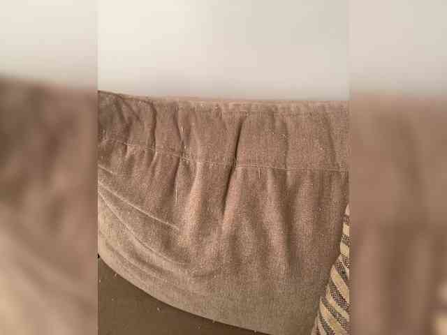 FurElisse webcam