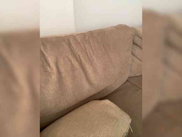 FurElisse webcam