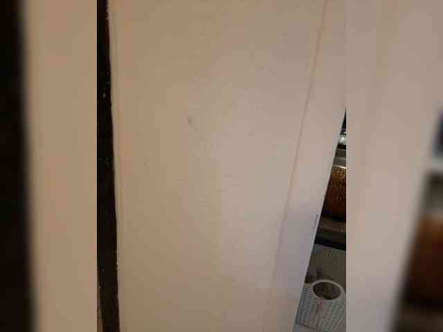 FurElisse webcam