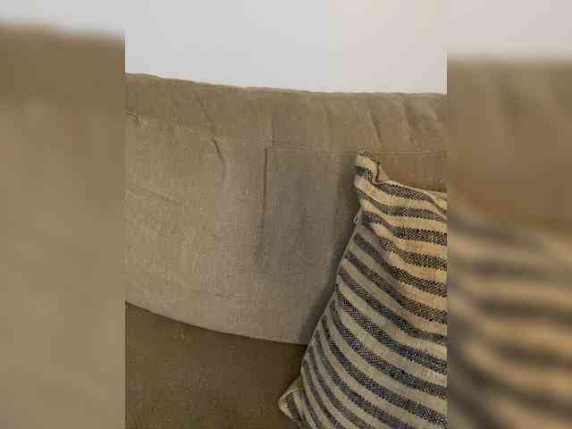 FurElisse webcam