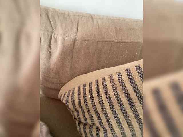 FurElisse webcam