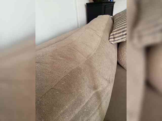 FurElisse webcam