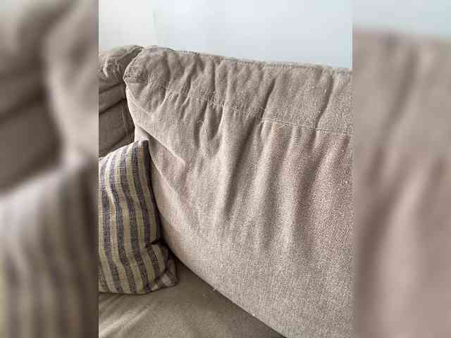 FurElisse webcam