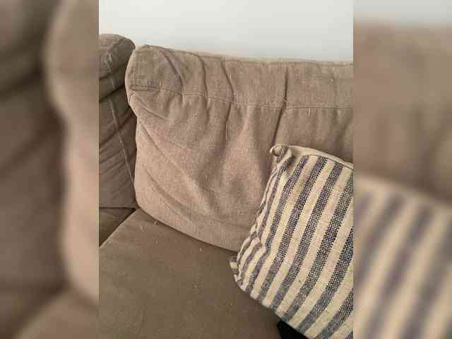 FurElisse webcam