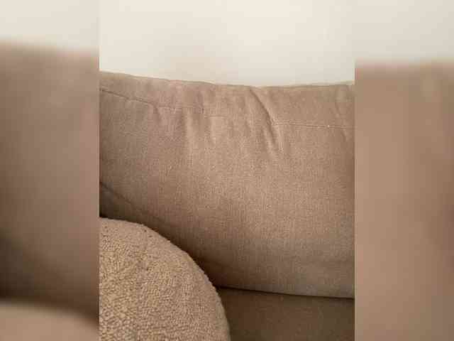 FurElisse webcam