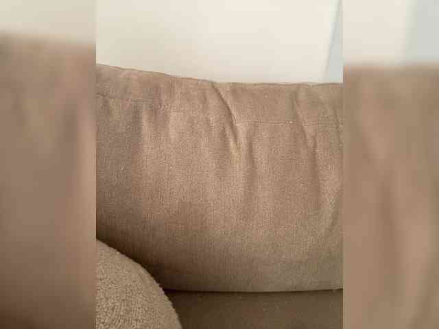 FurElisse webcam