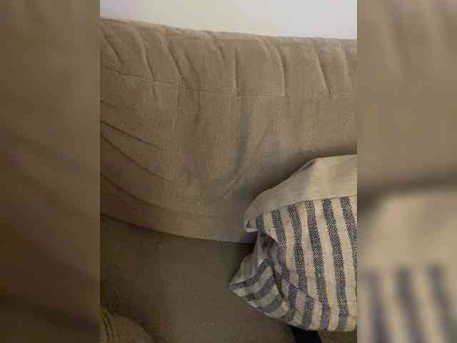 FurElisse webcam