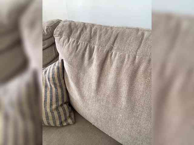 FurElisse webcam