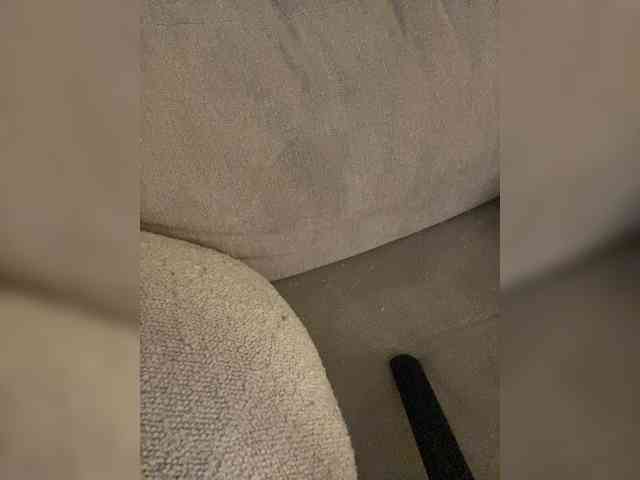 FurElisse webcam