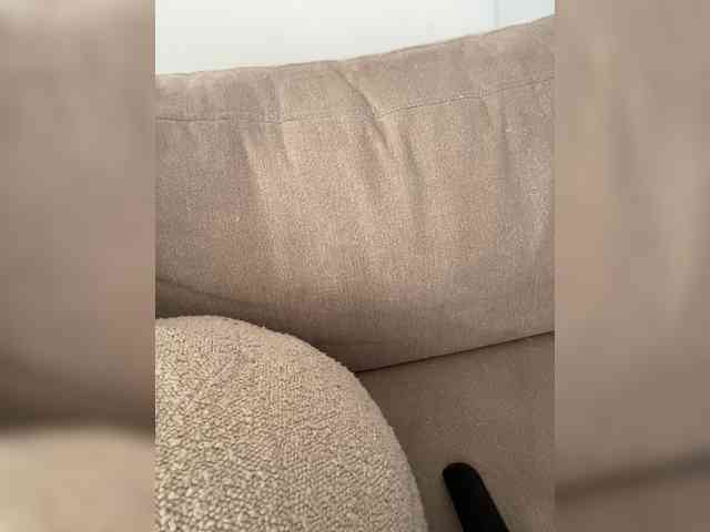 FurElisse