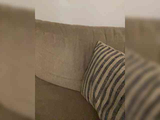 FurElisse webcam