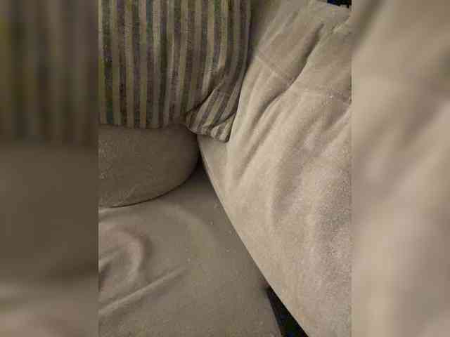 FurElisse webcam