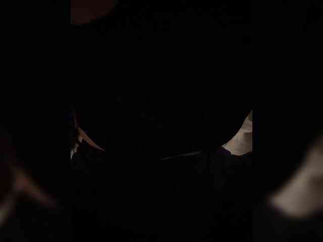 FurElisse webcam