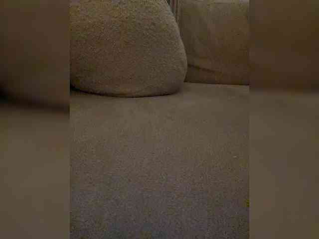 FurElisse webcam