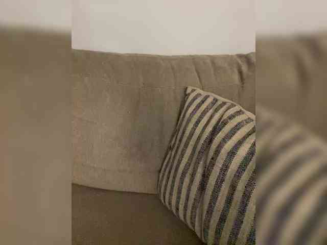 FurElisse webcam