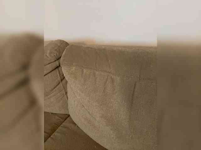 FurElisse webcam